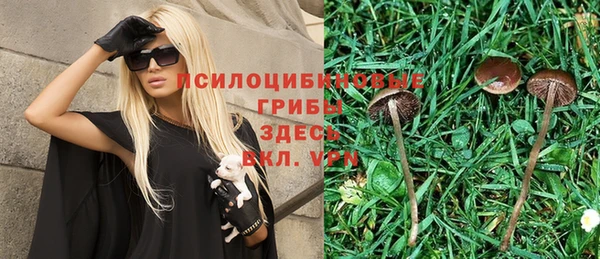 гашиш Ачинск