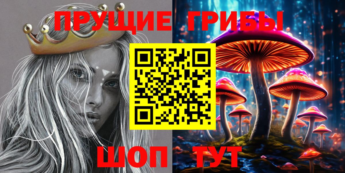 как найти закладки  Псилоцибиновые грибы Psilocybe  Арсеньев  Вход с VPN  Псилоцибиновые грибы прущие грибы 