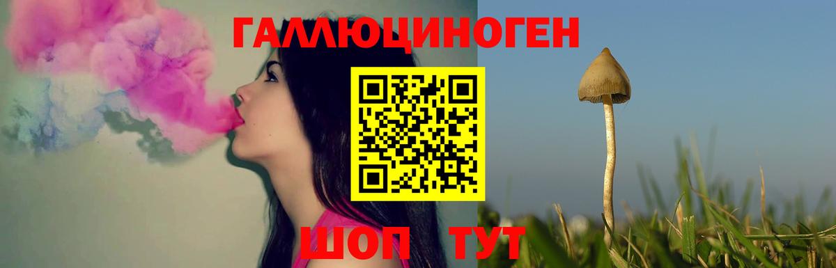 Галлюциногенные грибы Magic Shrooms Арсеньев