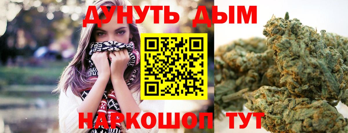 Бошки марихуана сатива  Конопля план  Арсеньев 